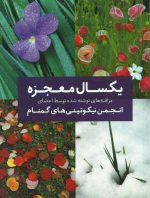 یکسال معجزه - تصویر 2