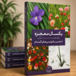 یکسال معجزه