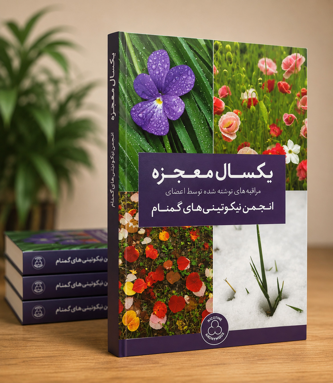 A Year of Miracles یکسال معجزه - تصویر 1